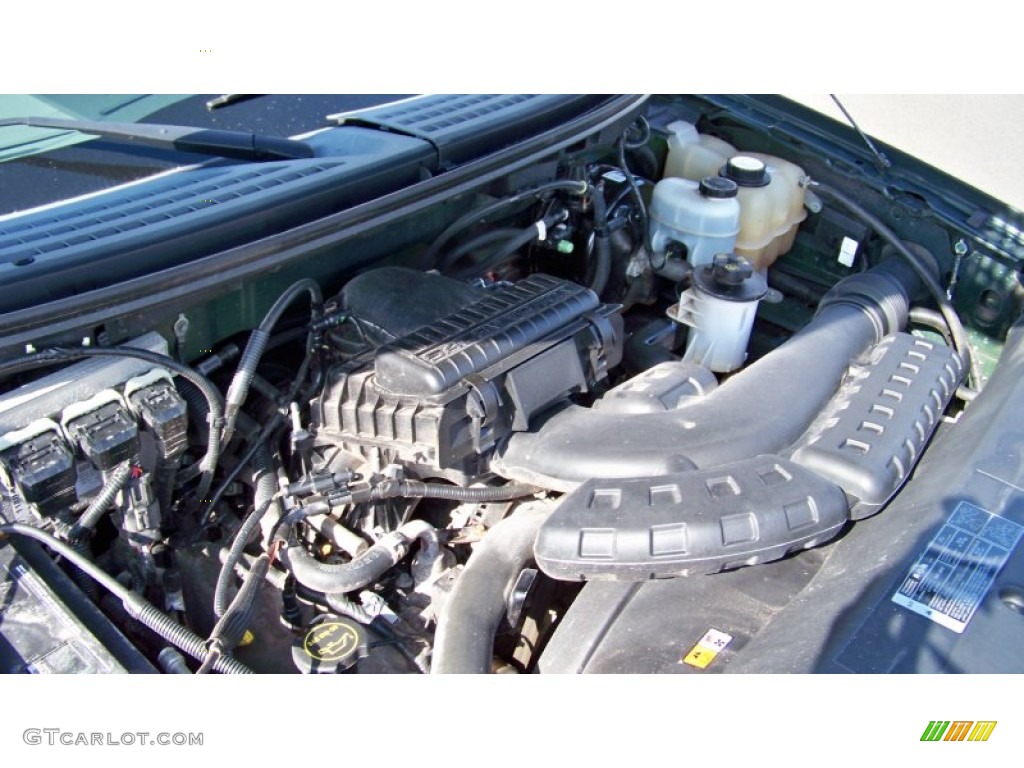 2005 F150 XLT SuperCrew 4x4 - Aspen Green Metallic / Medium Flint/Dark Flint Grey photo #25