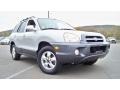 Smart Silver - Santa Fe GLS 4WD Photo No. 25