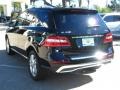 Black - ML 350 4Matic Photo No. 3