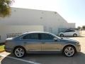 Platinum Gray Metallic - Passat V6 SEL Photo No. 8