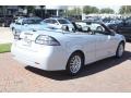 Snow Silver Metallic - 9-3 2.0T Convertible Photo No. 11