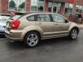 2007 Light Khaki Metallic Dodge Caliber R/T AWD  photo #3