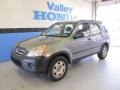 2006 Silver Moss Metallic Honda CR-V LX 4WD  photo #1