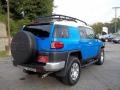 2008 Voodoo Blue Toyota FJ Cruiser 4WD  photo #9