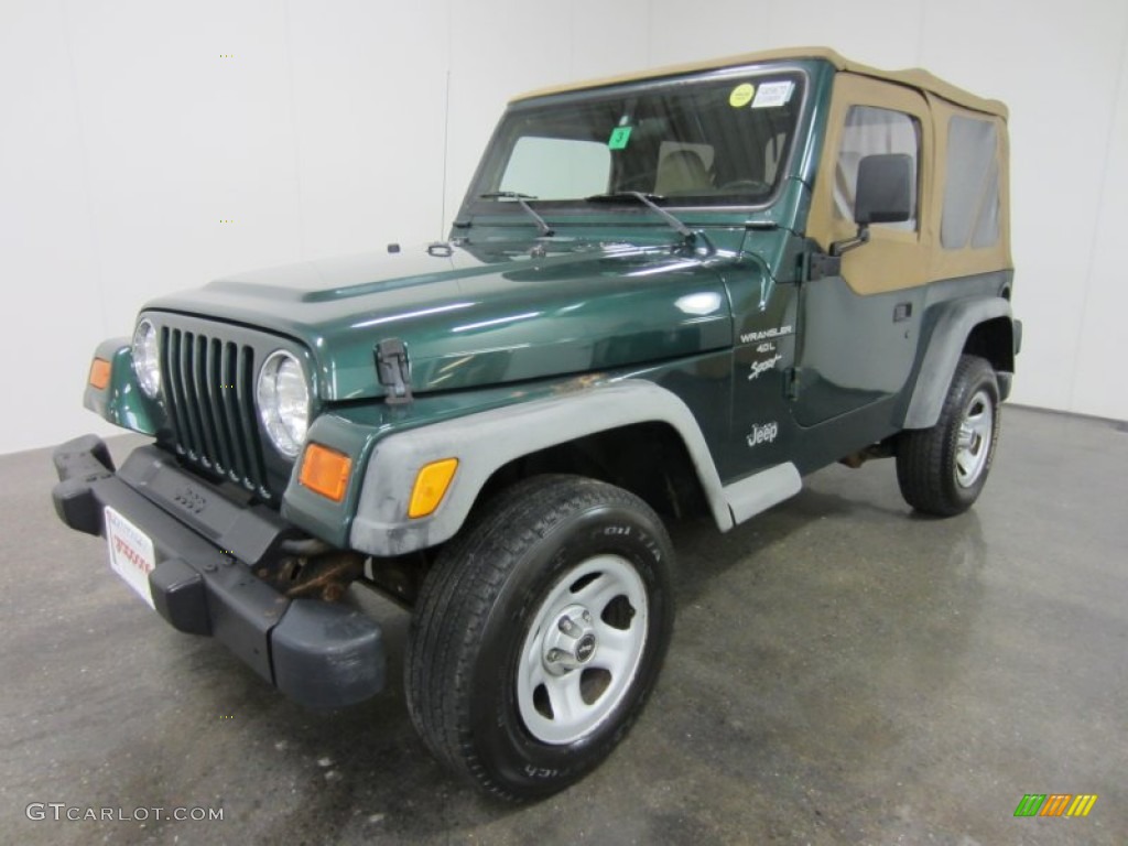 2001 Wrangler Sport 4x4 - Forest Green / Camel photo #1