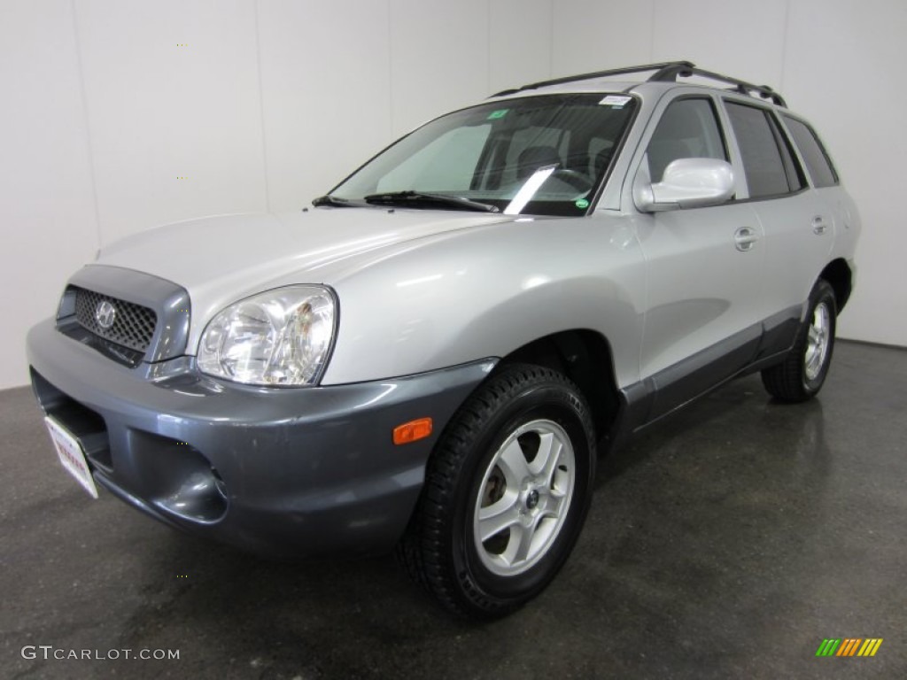 2004 Santa Fe  - Pewter / Gray photo #1
