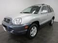 Pewter 2004 Hyundai Santa Fe 