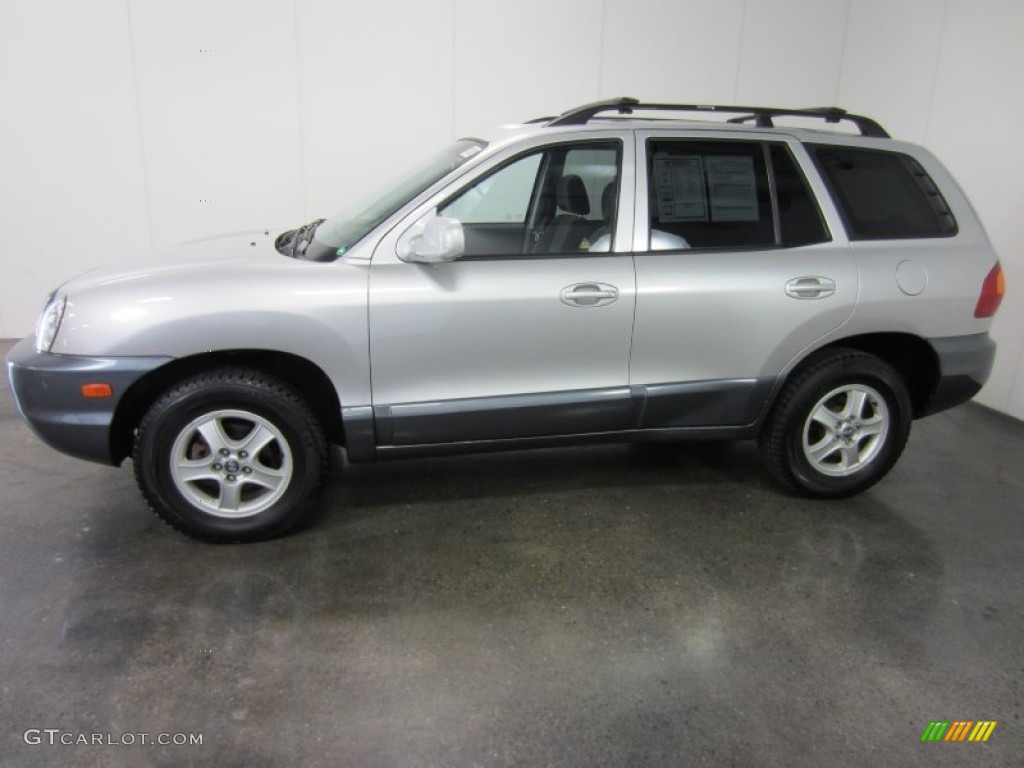2004 Santa Fe  - Pewter / Gray photo #3