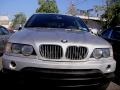 2002 Titanium Silver Metallic BMW X5 4.4i  photo #6