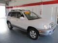 Nordic White - Santa Fe GLS 3.5 Photo No. 5