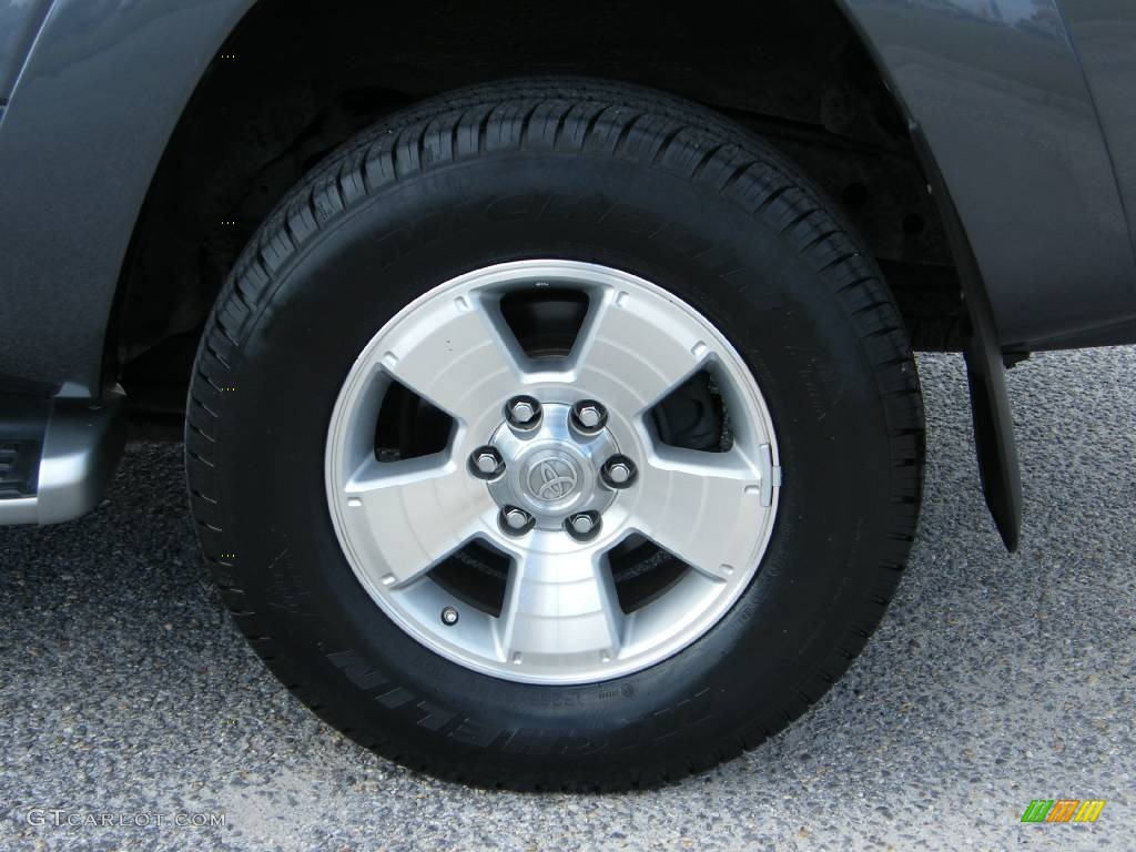 2004 4Runner Limited - Galactic Gray Mica / Stone photo #11