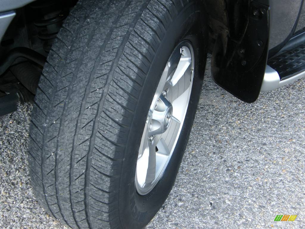 2004 4Runner Limited - Galactic Gray Mica / Stone photo #12