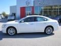 Winter Frost White - Maxima 3.5 SV Photo No. 2