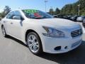 Winter Frost White - Maxima 3.5 SV Photo No. 7