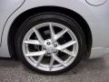 Radiant Silver Metallic - Maxima 3.5 SV Photo No. 4