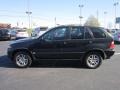 Black Sapphire Metallic - X5 3.0i Photo No. 4
