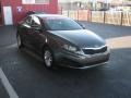 Platinum Graphite - Optima LX Photo No. 7