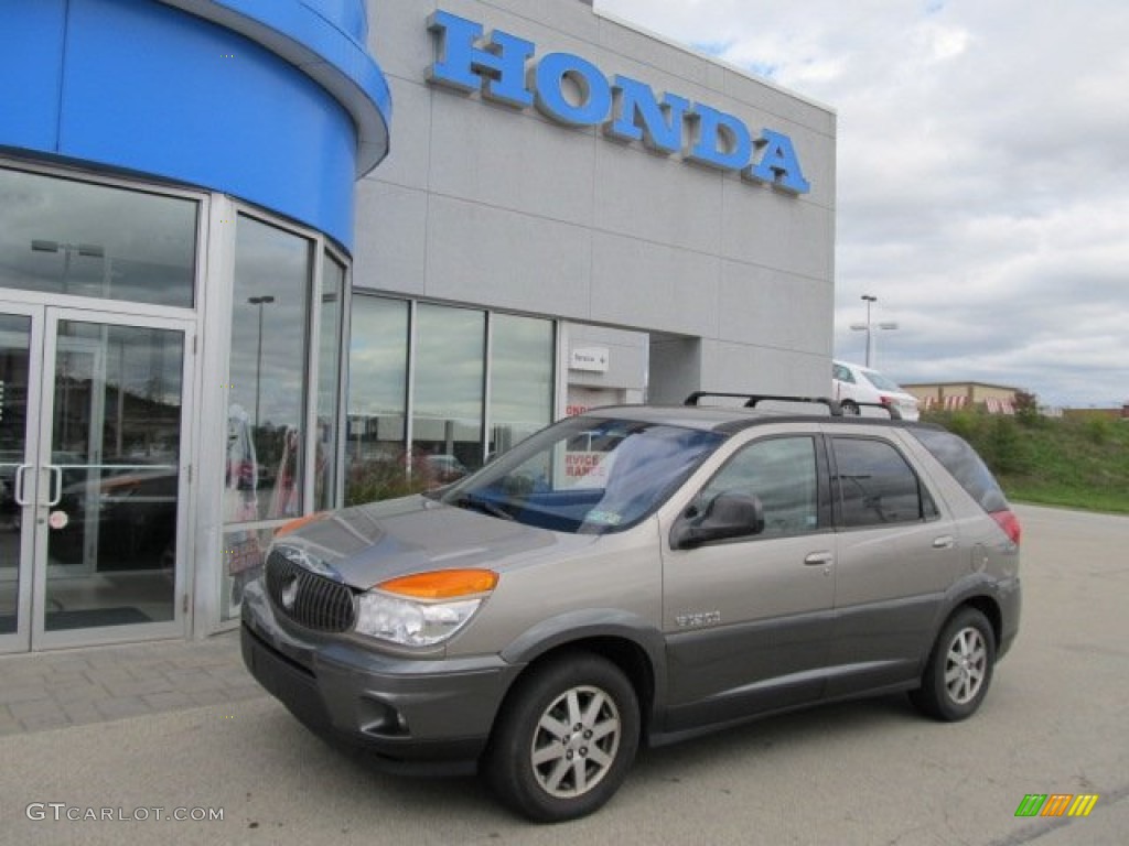 Pewter Metallic Buick Rendezvous