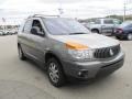 2002 Pewter Metallic Buick Rendezvous CX  photo #7