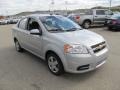 2010 Cosmic Silver Chevrolet Aveo LT Sedan  photo #9