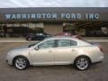 2009 Smokestone Metallic Lincoln MKS Sedan  photo #1