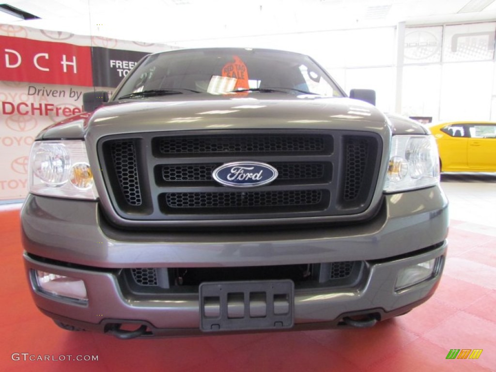 2005 F150 FX4 SuperCab 4x4 - Dark Shadow Grey Metallic / Medium Flint Grey photo #2