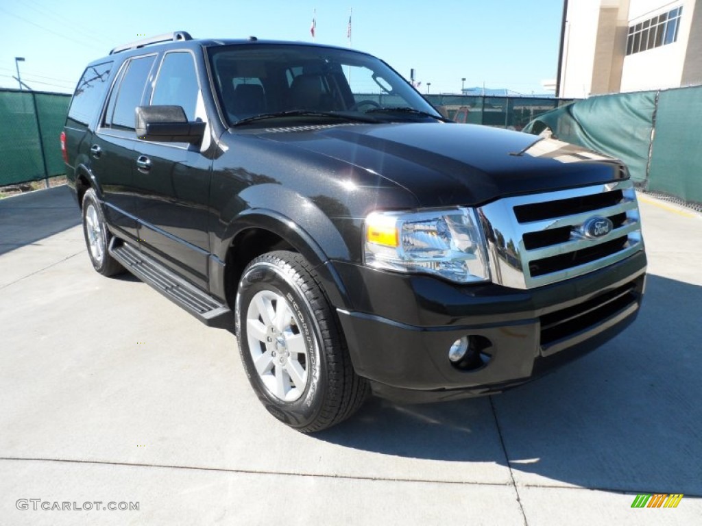 2010 Expedition XLT - Tuxedo Black / Stone photo #1