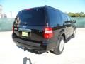 2010 Tuxedo Black Ford Expedition XLT  photo #3