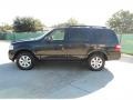 2010 Tuxedo Black Ford Expedition XLT  photo #6