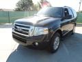 2010 Tuxedo Black Ford Expedition XLT  photo #7