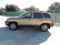 2003 Sandstone Hyundai Santa Fe GLS  photo #6