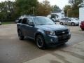 2012 Steel Blue Metallic Ford Escape XLT Sport  photo #3