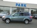 2009 Sage Green Metallic Subaru Forester 2.5 X Premium  photo #19