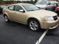 White Gold - Avenger R/T Photo No. 2