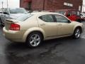 White Gold 2010 Dodge Avenger R/T Exterior