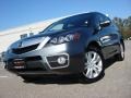 2010 Polished Metal Metallic Acura RDX SH-AWD Technology  photo #1