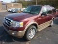 2012 Autumn Red Metallic Ford Expedition XLT 4x4  photo #5