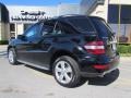 Black - ML 350 4Matic Photo No. 2
