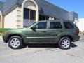 Jeep Green Metallic 2009 Jeep Grand Cherokee Laredo