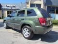 Jeep Green Metallic - Grand Cherokee Laredo Photo No. 2