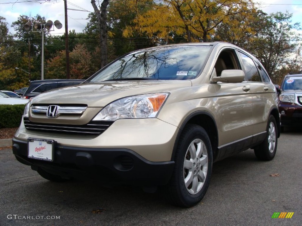 2009 CR-V EX-L 4WD - Borrego Beige Metallic / Ivory photo #4