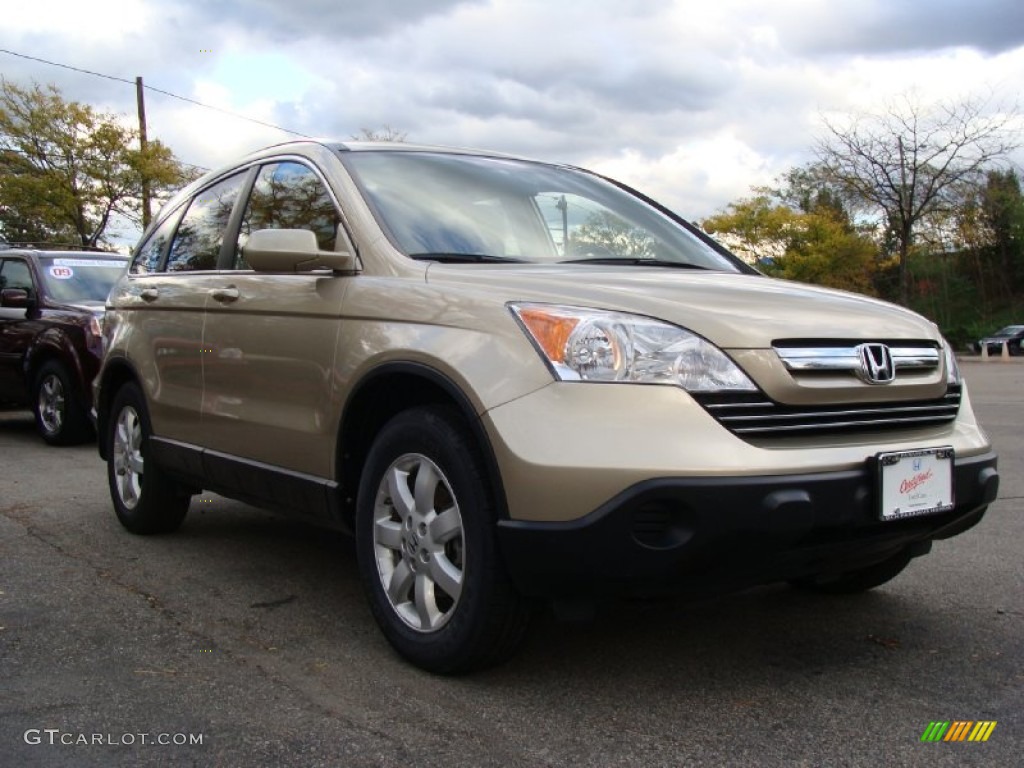 2009 CR-V EX-L 4WD - Borrego Beige Metallic / Ivory photo #6