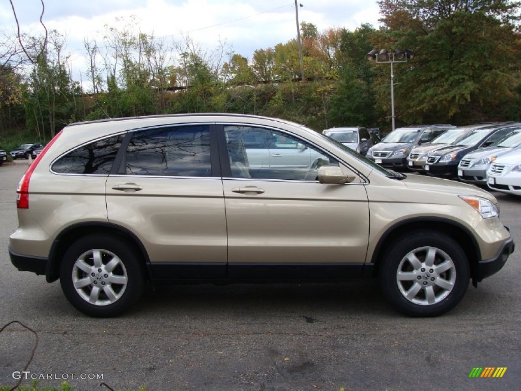 2009 CR-V EX-L 4WD - Borrego Beige Metallic / Ivory photo #7