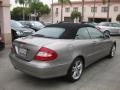 Pewter Metallic - CLK 350 Cabriolet Photo No. 2