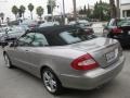Pewter Metallic - CLK 350 Cabriolet Photo No. 4