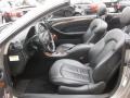 Pewter Metallic - CLK 350 Cabriolet Photo No. 17