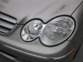 Pewter Metallic - CLK 350 Cabriolet Photo No. 23
