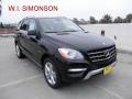 Black - ML 350 4Matic Photo No. 1