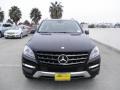 Black - ML 350 4Matic Photo No. 2
