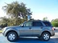 Sterling Gray Metallic - Escape XLT Photo No. 2